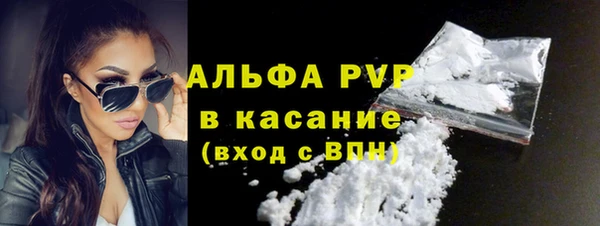прущие грибы Верхний Тагил