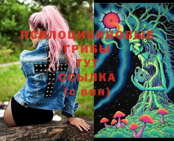 MDMA Premium VHQ Бронницы