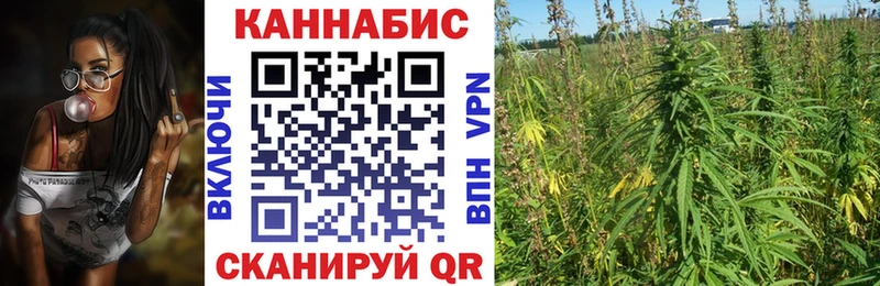 Бошки марихуана план  цена   Калязин 